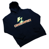Banned in the District Hoodie